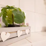 Apartament Praktisches 1-zimmer-apartment, Nahe Universitaetsklinikum, Ideal Fuer Monteure & Kurzaufenthalte *