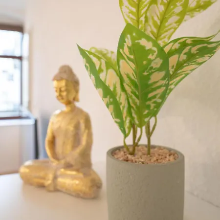 Lägenhet Praktisches 1-zimmer-apartment Mit Guter Anbindung, Nahe Universitaetsklinikum Magdeburg