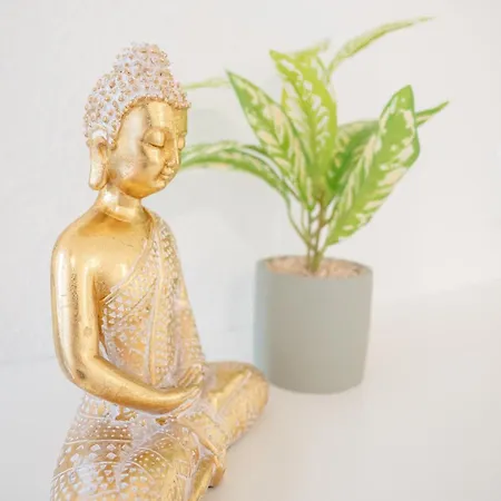 Praktisches 1-zimmer-apartment, Nahe Universitaetsklinikum, Ideal Fuer Monteure & Kurzaufenthalte *