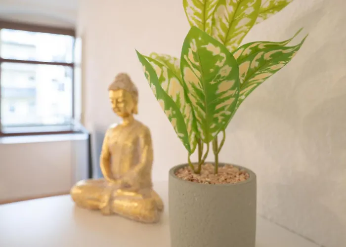 Lägenhet Praktisches 1-zimmer-apartment Mit Guter Anbindung, Nahe Universitaetsklinikum Magdeburg