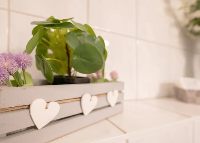 Апартаменты Praktisches 1-zimmer-apartment, Nahe Universitaetsklinikum, Ideal Fuer Monteure & Kurzaufenthalte *